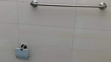 Shower, towels, toilet paper