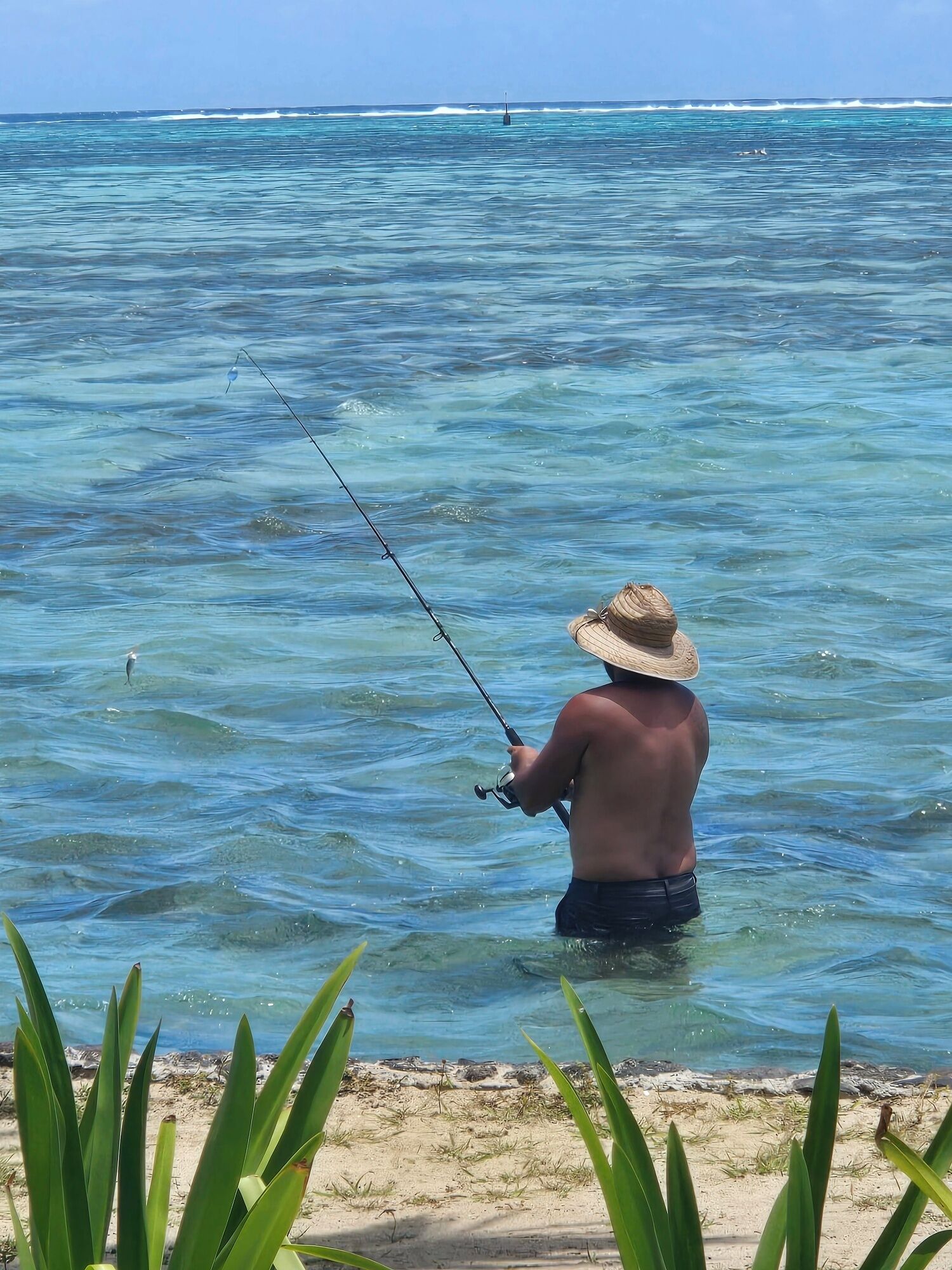 A person fishing in clear blue water with a hat, surrounded by greenery.