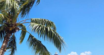 Moana by Lagoon Dream Fully equipped house with seafront pool