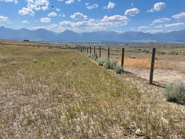 A fenced field with sparse vegetation and distant mountains. - Apartment on Private Small Ranch - Sapphire Mtns (Corvallis)