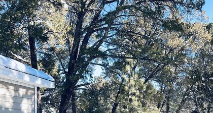 Nice and Cozy cabin, 3 bedroom and 2 bathroom.