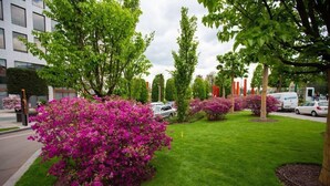 Eine gepflegte Rasenfläche mit leuchtend rosa Blumen und ordentlich beschnittenen Bäumen, angrenzend an ein modernes Gebäude mit großen Fenstern.