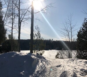 Property grounds - Cozy Waterfront Cottage near Huntsville, Algonquin park (Kearney)