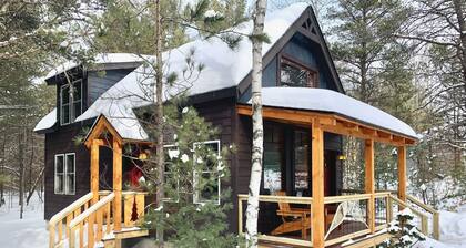 Brand new cabin in the Adirondacks near Whiteface Mountain!