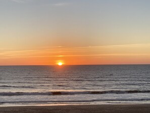 Accommodatie ligt op het strand, ligstoelen
