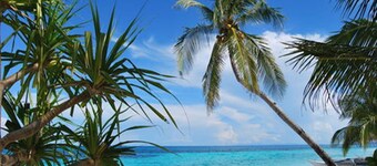Purple Snapper Dive Resort - Hostel/backpacker Accommodation