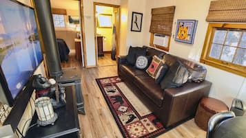 电视、DVD 播放器