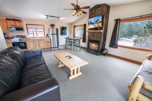 テレビ、暖炉、DVD プレーヤー、ビデオライブラリ