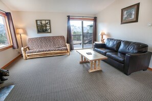 テレビ、暖炉、DVD プレーヤー、ビデオライブラリ