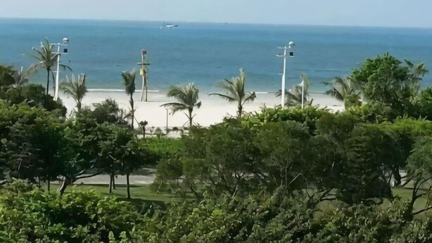 A beach view with palm trees, a clear sky, and a distant boat. - Beihai Bishuiwan Homestay (Beihai Silver Beach) (Beihai)