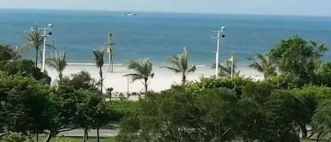 A beach with palm trees, a clear sky, and a view of the ocean.