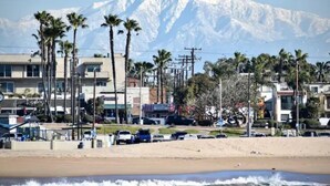 A beach with a mountain in the background, palm trees, and buildings along the shore.