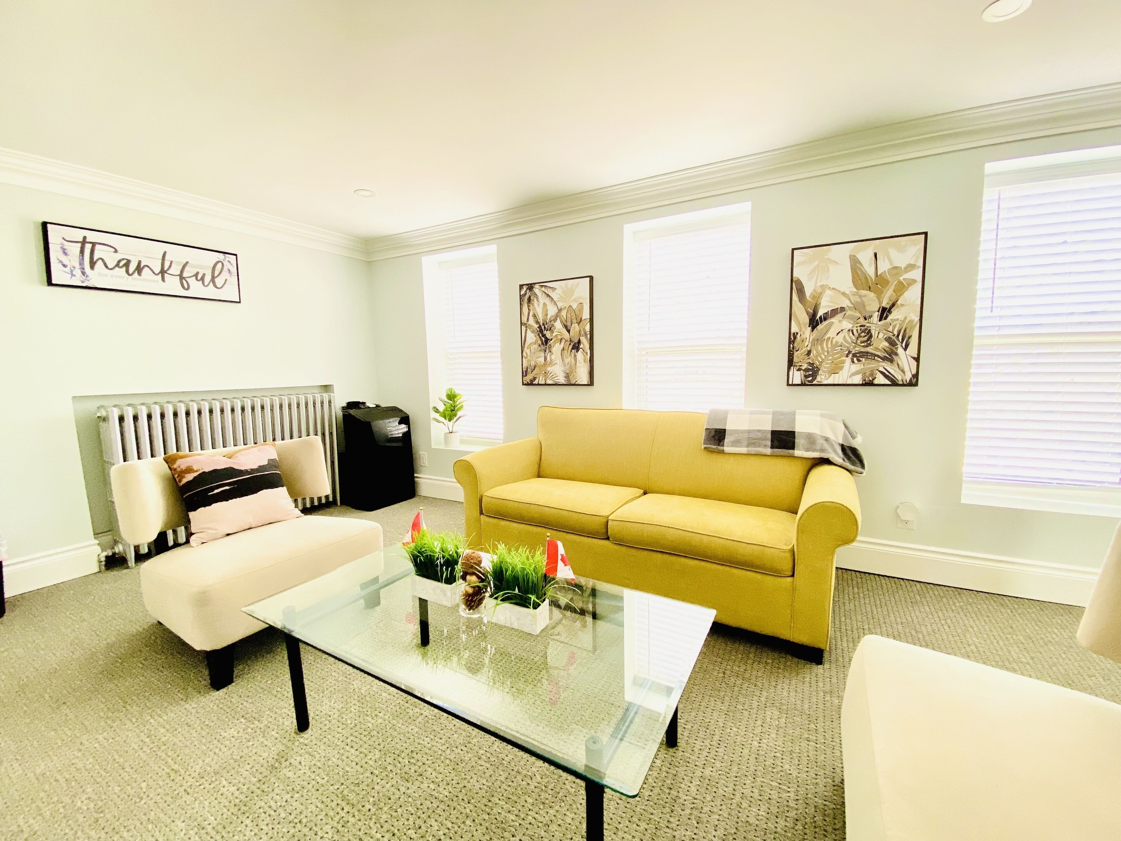 Smart TV, Netflix, streaming services