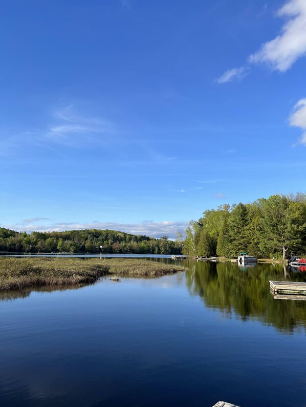 A calm lake with a dock and boats, surrounded by dense trees and a clear sky.