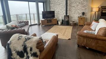 Televisión y chimenea