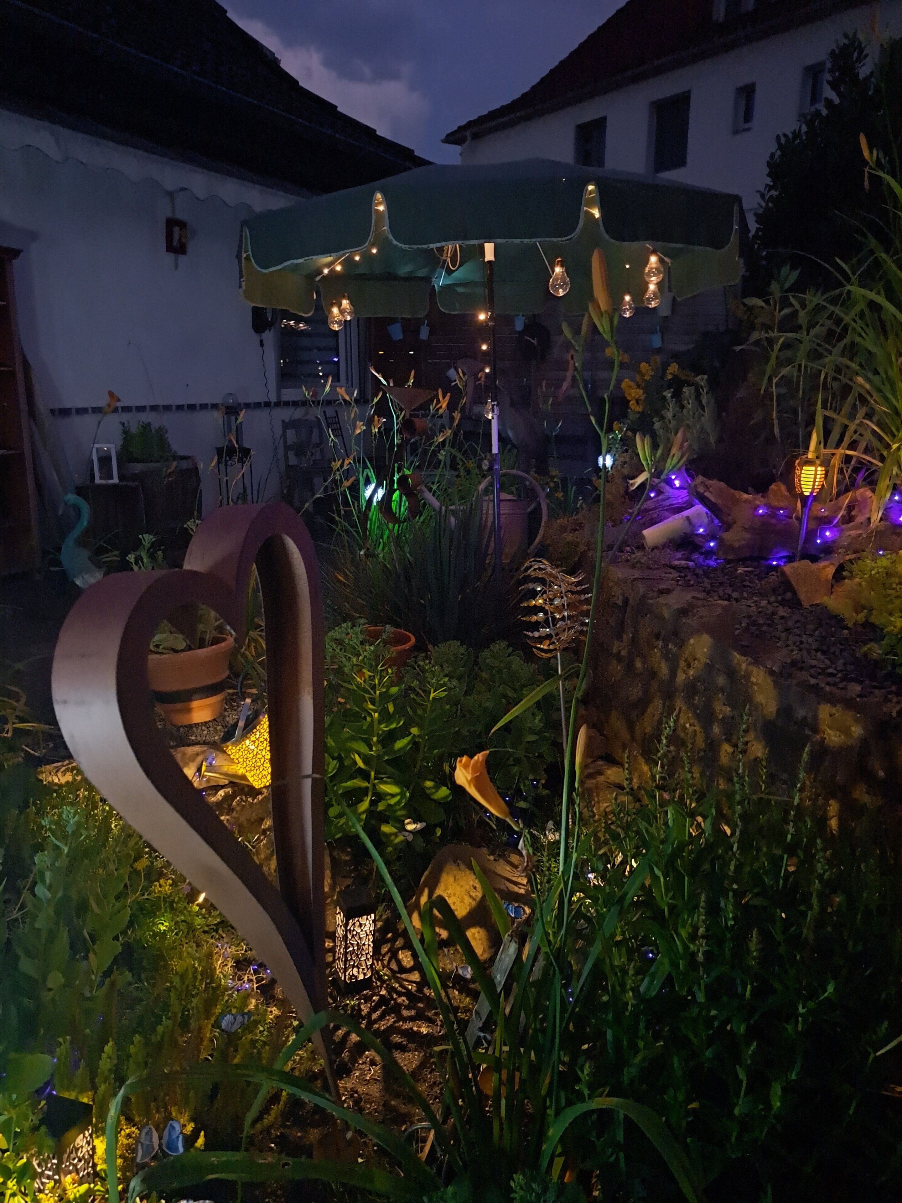 Un jardin agrémenté d’une arche décorative en métal, d’un banc en bois et de diverses plantes.