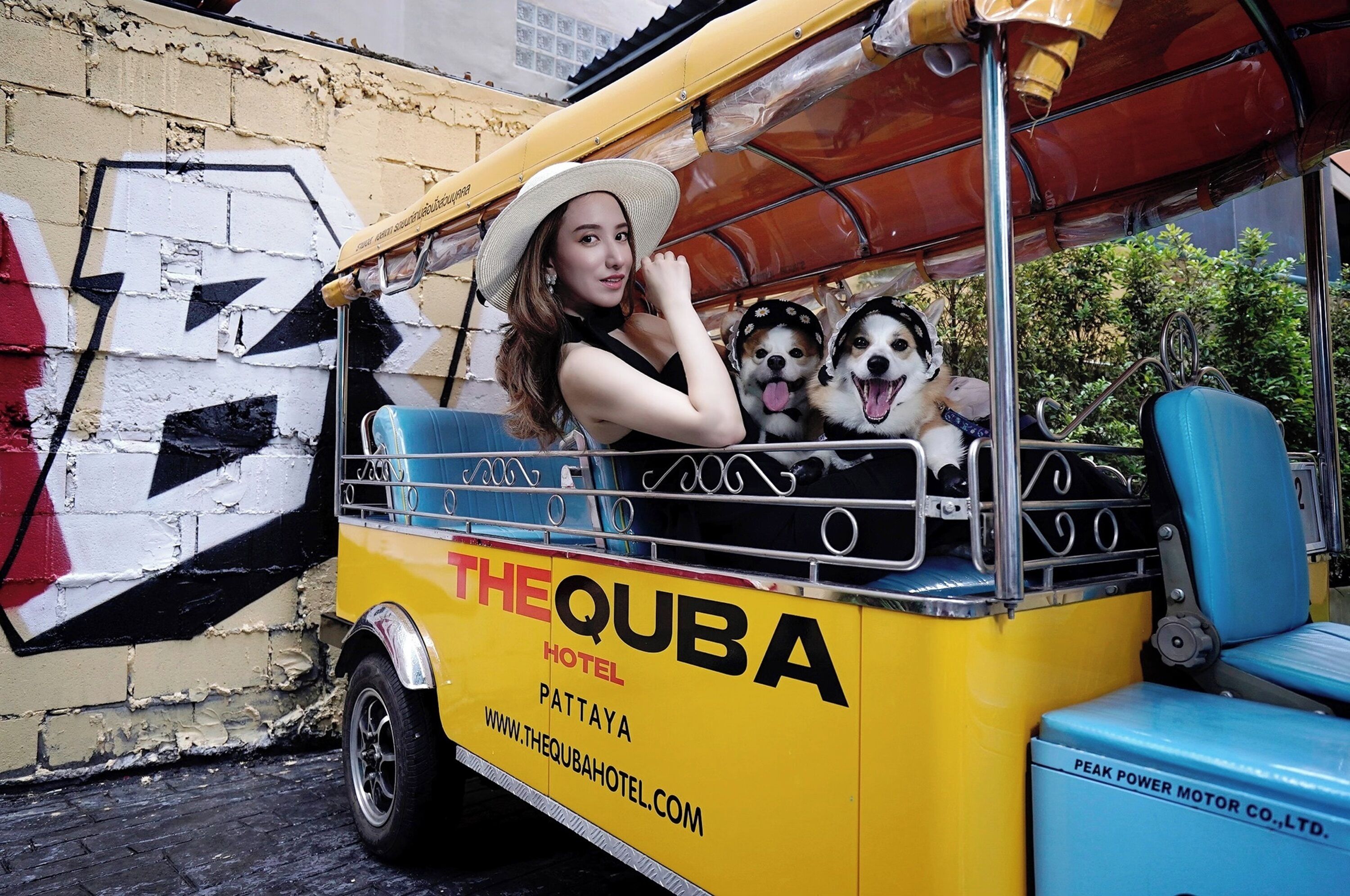 Un vehicle groc amb el logotip "THE QUBA HOTEL", una dona i dos gossos.