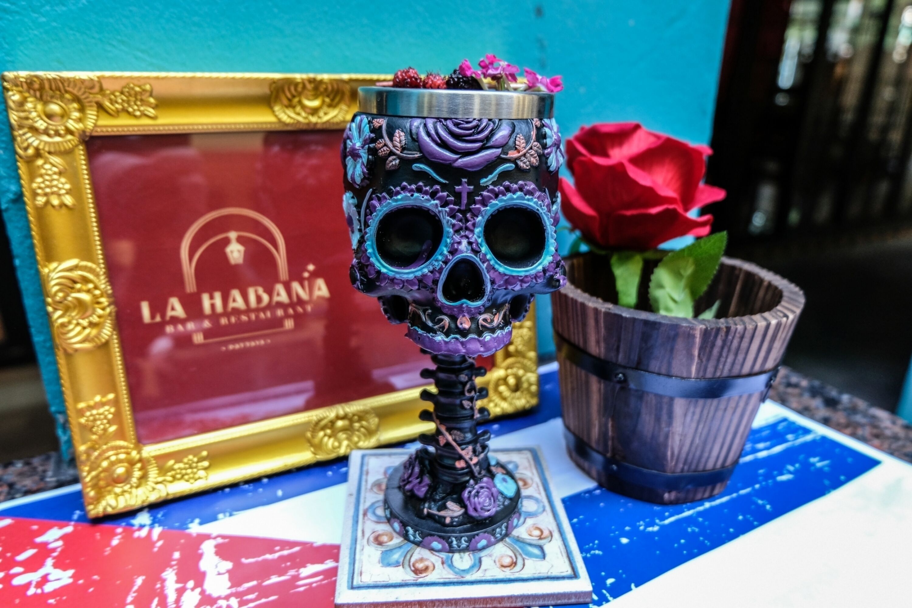 Un cráneo decorativo con una rosa, un letrero enmarcado y una planta en maceta.