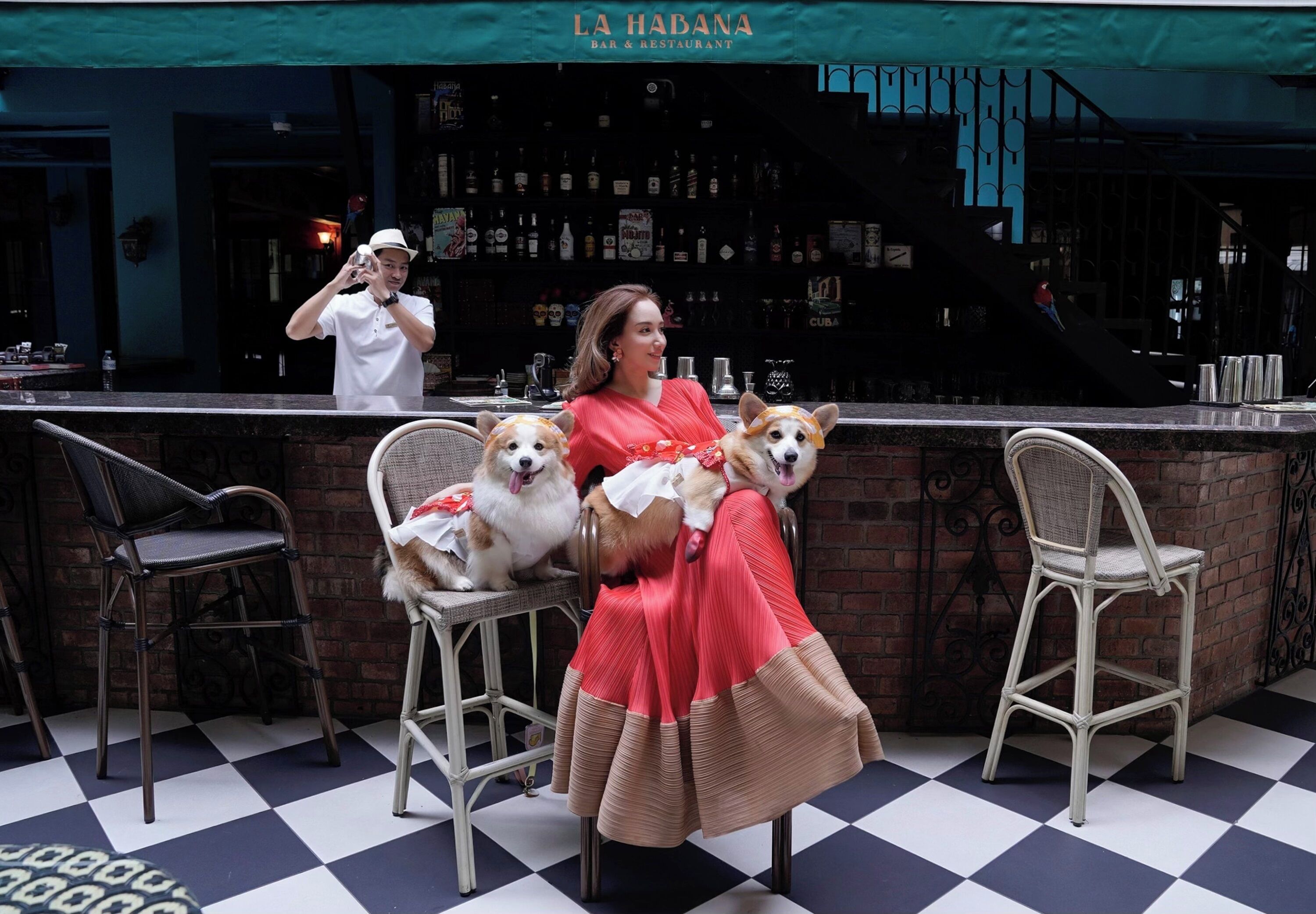 Un coin bar avec un sol à carreaux, un comptoir derrière lequel se tient une personne, et trois chiens assis sur des chaises.
