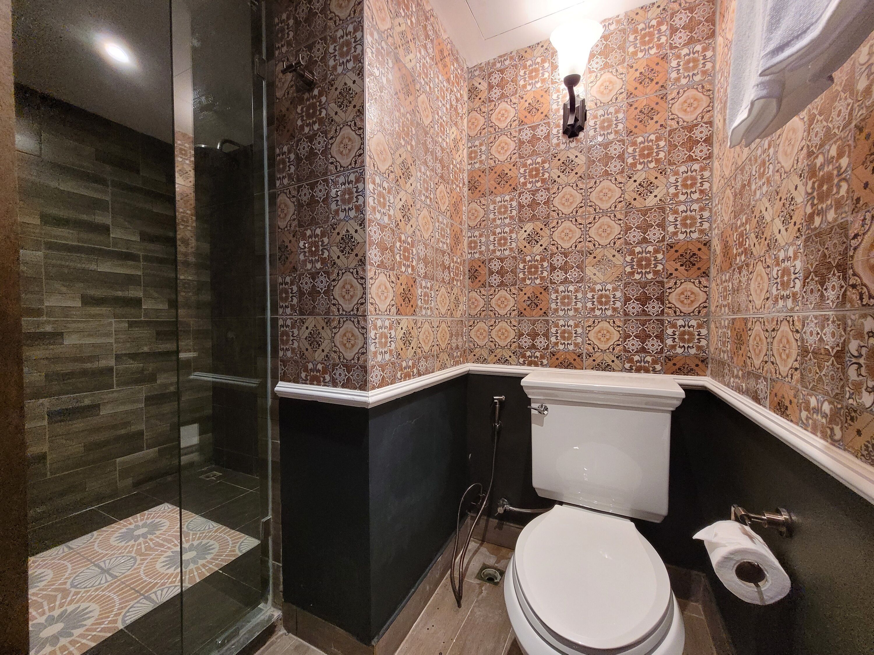 Een badkamer met patroontegels, een douchecabine van glas, een toilet en een rol toiletpapier.
