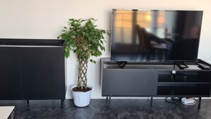 Un salon moderne avec un meuble de rangement noir pour les appareils électroniques, une plante en pot et un téléviseur à écran plat.