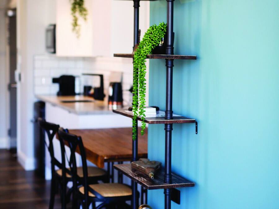 A modern kitchen with a teal accent wall, a black metal shelf unit with a helmet, and a hanging plant.