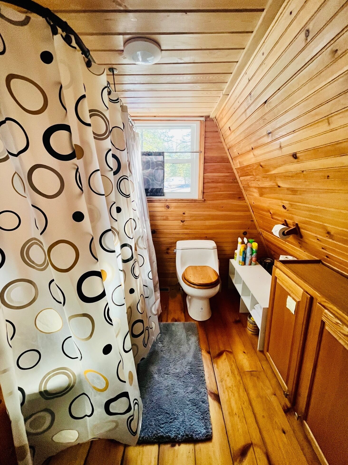 Combined shower/bathtub, shampoo