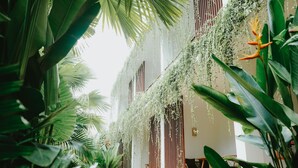 Un jardín tropical con plantas colgantes y una estructura de madera.