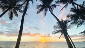 A beach with palm trees, people, and the ocean at sunset.