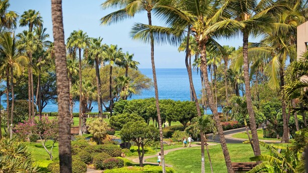 A lush garden with palm trees and a pathway leading to a building.