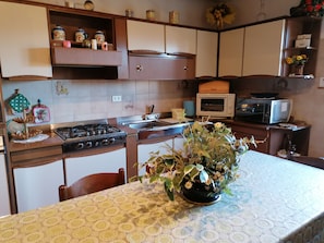 A kitchen with a gas stove, microwave, and a sink. There is a vase with flowers on the table. - Chalet of the enchanted country (Moncenisio)
