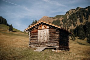 Une cabane rustique en rondins de bois, dotée d’une porte en bois et d’un petit porche, entourée d’un champ verdoyant et avec des montagnes en arrière-plan.
