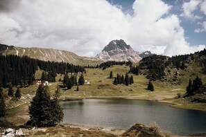 Immagine non classificata, 5 di 44, pulsante