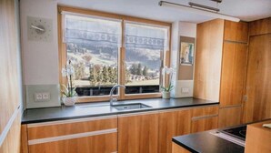 A modern kitchen with wooden cabinets, a built-in sink, and a window with a view of a mountainous landscape. - Vacation cottage FuchsbAU, Austria (Au)
