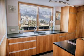 Fridge, microwave, oven, dishwasher - Vacation cottage FuchsbAU, Austria (Au)