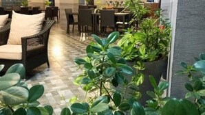Un comedor interior con mesas y sillas, plantas en macetas y suelo a cuadros.