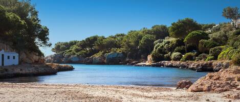 Una spiaggia nelle vicinanze
