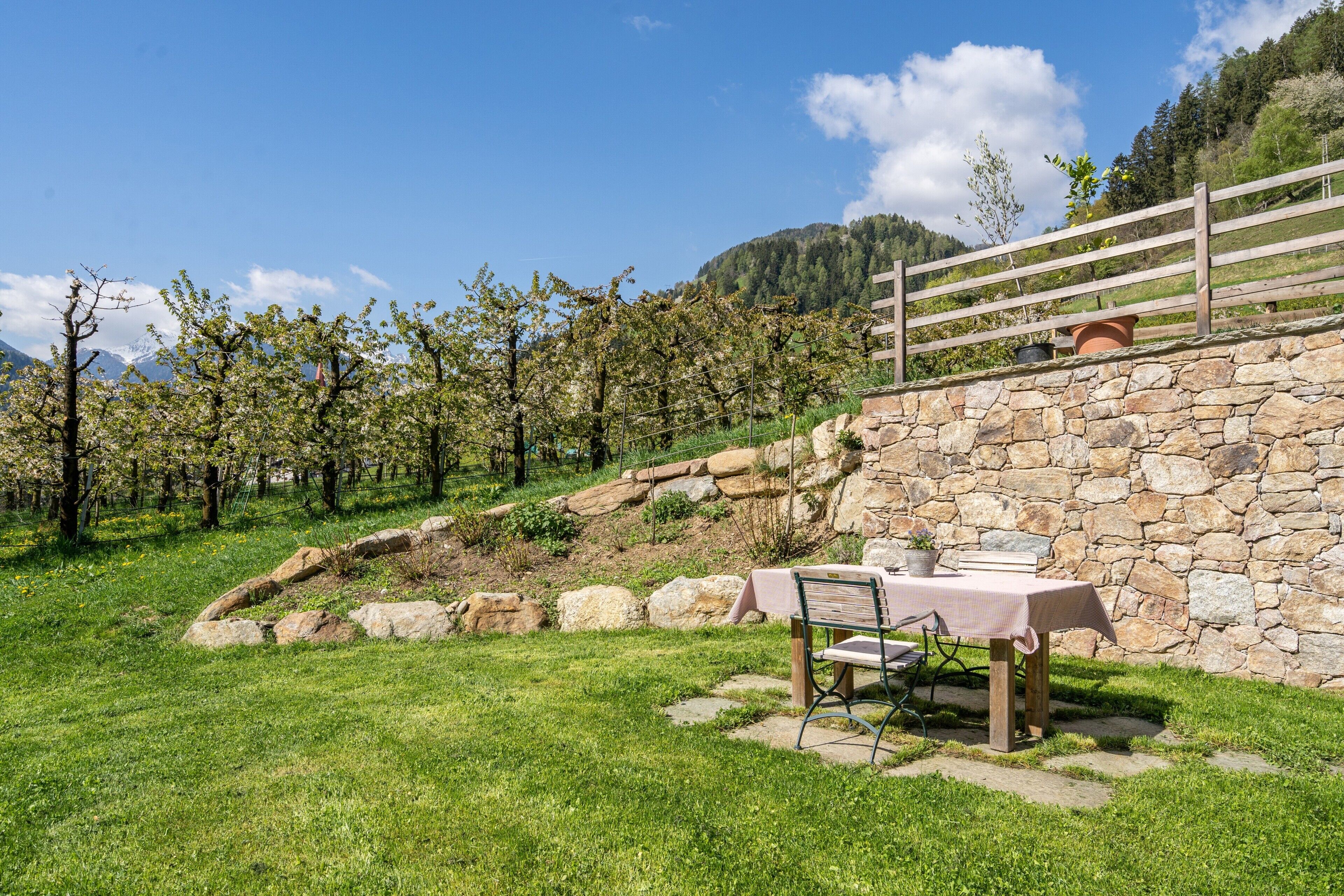 Restauration en plein air