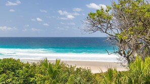 Una playa con aguas turquesas cristalinas y un árbol en primer plano.