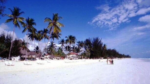 Una playa con palmeras y cielo despejado.