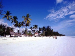 Una playa con palmeras y cielo despejado.