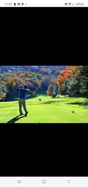 Golf