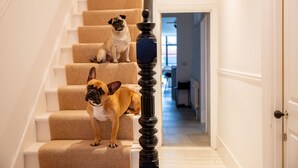 Een trap met aan weerszijden twee honden, leidend naar een deur.