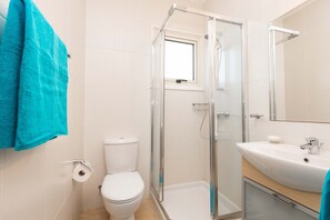 Ein Badezimmer mit einer Duschkabine, einer weißen Toilette und einem Waschbecken mit Spiegel darüber.