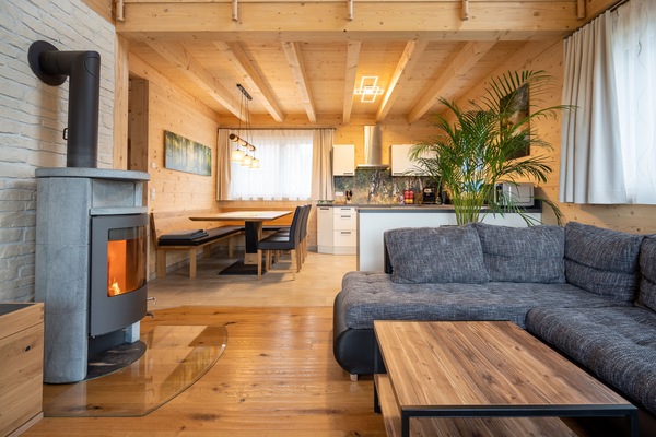 Televisor i estèreo