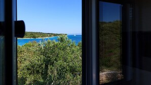 Blick durch ein Fenster auf eine Küstenlandschaft mit blauem Himmel, dichter Vegetation und einem Gewässer.