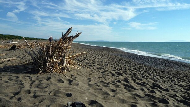 Una spiaggia sabbiosa con legni trasportati dalla marea e impronte, un cielo sereno e un mare calmo.