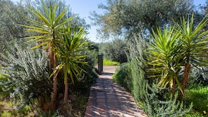 A paved garden pathway flanked by tall, spiky plants and dense shrubbery, leading to a gate.