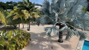 A sandy outdoor area with palm trees and a pool. - Luxury 4 bed Villa - Private Pool - Sleeps 8 (Jan Thiel)
