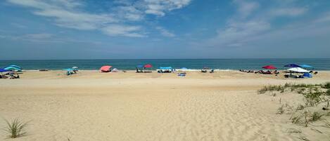 Plage à proximité